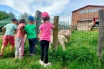 Ferme pedagogique colo 