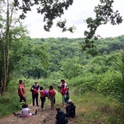 aventuriers en foret