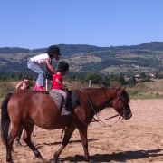 stage equitation loire
