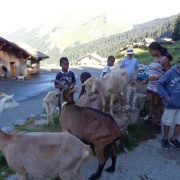village chevres lndarets
